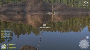 Русская Рыбалка 4 / КУОРИ ФАРМ НА ФИДЕР / НАЛИМ Алексей Майоров