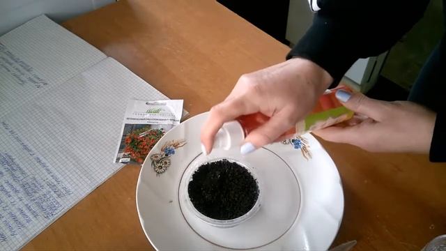 Посев семян бегонии Боливийской.Sowing seeds of Begonia Bolivian ampelous смотреть онлайн