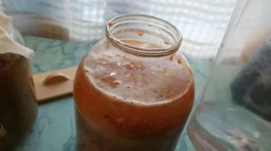 Яблочный уксус своими руками из ранеток.