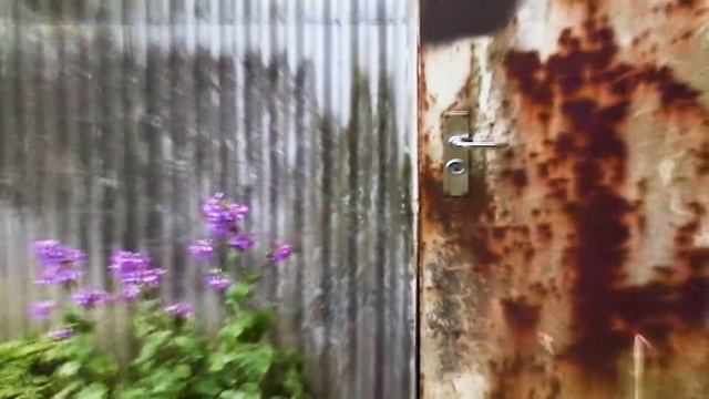 Champion × Wood Wood | Осень/Зима 2017 смотреть онлайн