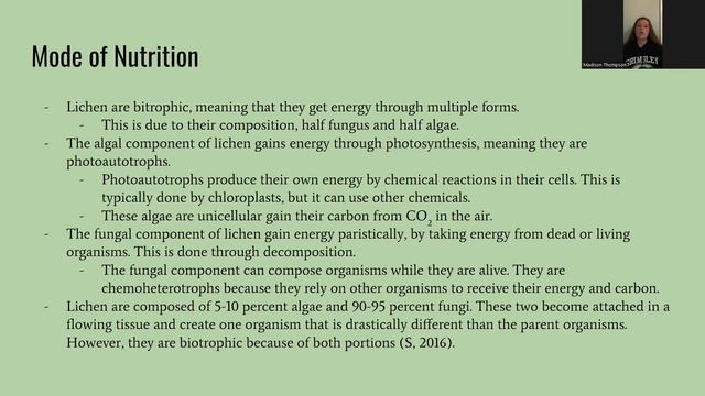 Phylum Project Ascomycota смотреть онлайн