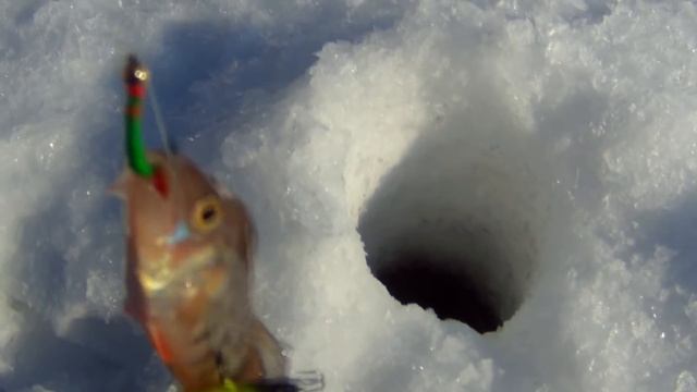 Зимняя рыбалка на Красноярском море 24 02 2017г смотреть онлайн