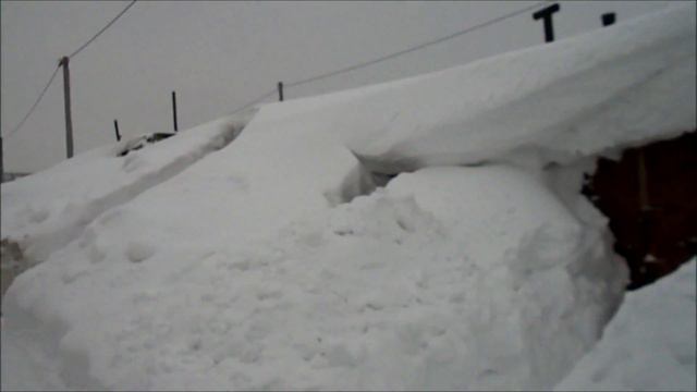 Зима в Сибире [B.F.S] смотреть онлайн