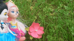 Куклы Enchantimals Мультик про волшебный цветок