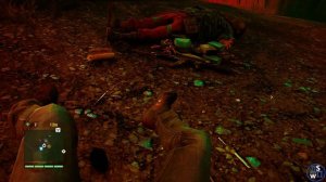 Far Cry IV: Лесной пожар!