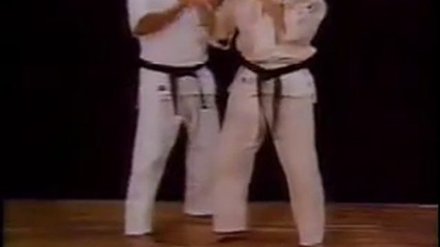 Ashihara Karate: Short Distance Fighting смотреть онлайн