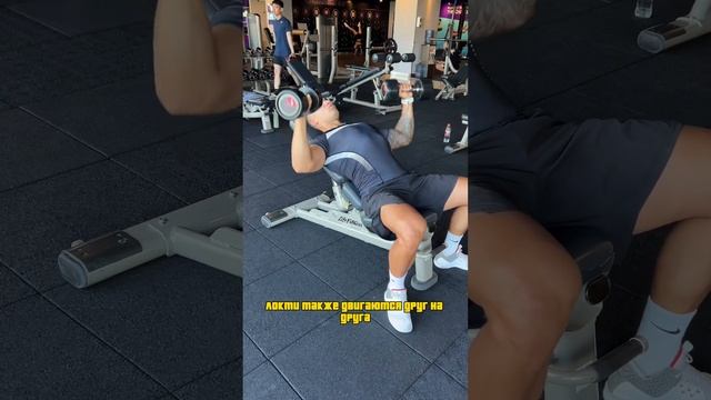 Жим гантелей на скамье 35 градусов смотреть онлайн