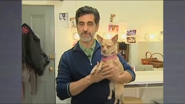 DRAMA 101, INTRODUCTION TO THEATRE, MODULE 1 - Animal Trainer смотреть онлайн