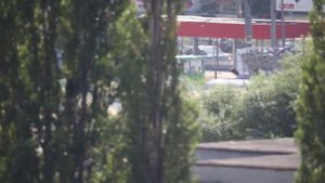 MC MTO 11CA - 10/1000 mm 42mm Zenit Canon Eos  1000- 2000mm