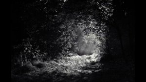 Калитка, романс  В И Буюкли, сл  А Н Будищев  1898  Исп  Ю С Морфесси и оркестр Отто Добриндт  1930