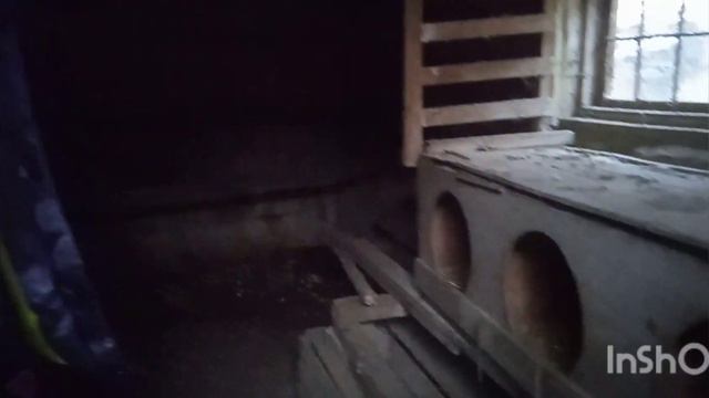 обзор на курятник