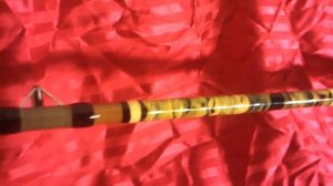 Salt water fishing custom pole