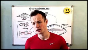 01. Строение мышц. Механизмы сокращения и расслабления.