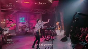 the rose - red (türkçe çeviri)