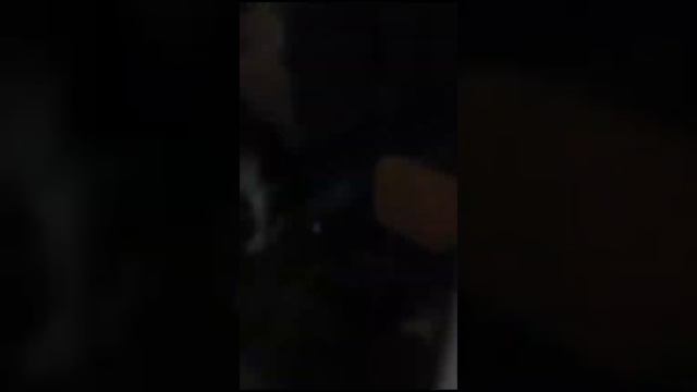 Малыши первый раз едят сырое мясо🥰 смотреть онлайн