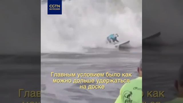 В Калифорнии прошел чемпионат по собачьему серфингу смотреть онлайн