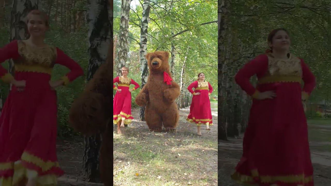 Бурый мишка танцует в лесу  #белыймишка #бурыймишка #Скукочечно