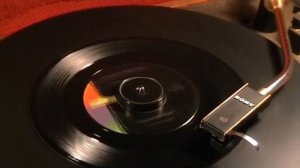 The Rivingtons - The Bird's The Word - 1963 45rpm