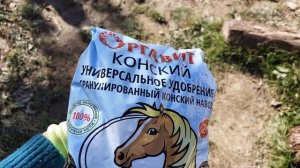 ОСЕННЯЯ ПОСАДКА РОЗ
