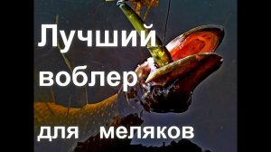 Лучший воблер для меляков. Обзор воблера Smith TS Joint Minnow 110