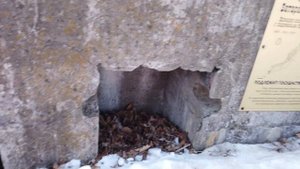 Остров Елены   Приморский край   Владивосток