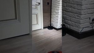 Управление роботом-пылесосом через Алису