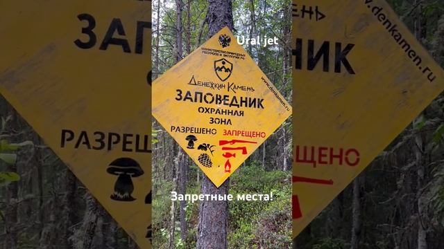 Благодаря заповедникам, заказникам и национальным паркам поддерживаются популяции диких животных! смотреть онлайн