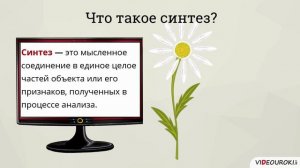 6 класс. 13. Понятие как форма мышшления. Как образуются понятия.