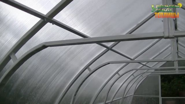 КАПЛЕВИДНАЯ ТЕПЛИЦА С УСИЛЕННЫМ КАРКАСОМ. ОТЗЫВ О ТЕПЛИЦЕ.
