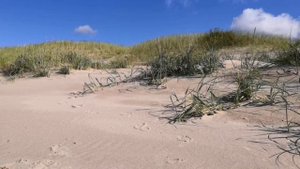 Рыбный завод в Финляндии. Жизнь и работа в Финляндии.