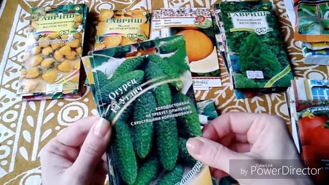 Семена на рассаду, посадочный материал, обзор семян, томаты, огурцы, земляника. #ДомовитаяХозяйка