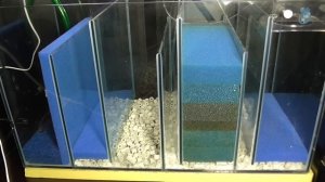 Аквариум 500 л. Часть 5. (самп)