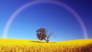 Louis Armstrong - "What A Wonderful World"