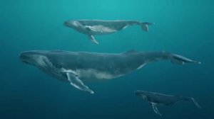 Трудности перевода 7 серия «О чем поют киты» (документальный сериал, 2023)