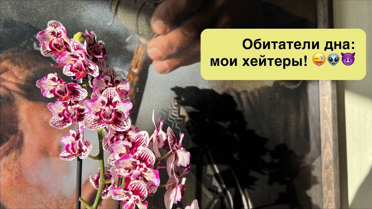 Новое название старой рубрики: ОБИТАТЕЛИ ДНА!