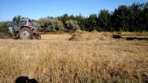 Мтз 82 грузит сено