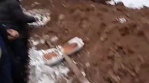 мусофирлар