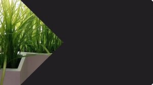 Искусственная осока в кашпо