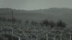 ВИА "Контемпоранул" : "Васильковое лето" - "Лето,лето,лето.."