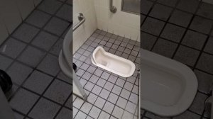 "Худший" туалет Японии. #travel, #japan