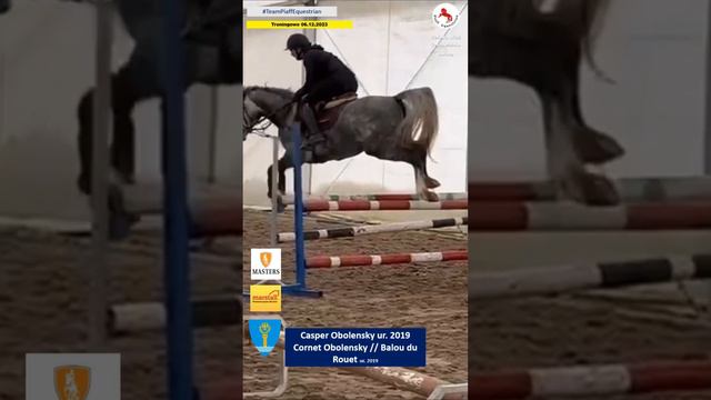 Casper Obolensky / Cornet Obolensky / Balou du Rouet  #horseriding #animals #horse #masterspasze