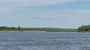 Река Ока не далеко от места впадения реки Клязьма. 23062023.