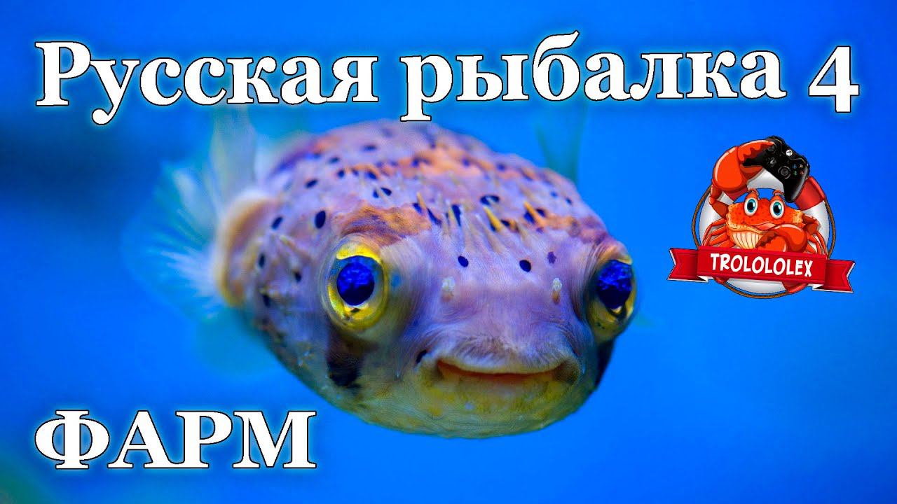 Русская рыбалка 4 Норвежское море фарм смотреть онлайн