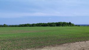 Русское поле.mp4