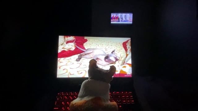 Фильм! Фильм! Фильм!