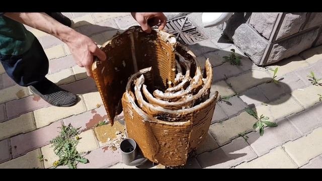 Диатомитовая фильтрация. Сборка, разборка.
