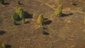 Алтай. Золотая осень на Алтае. Горный алтай осенью прекрасен.