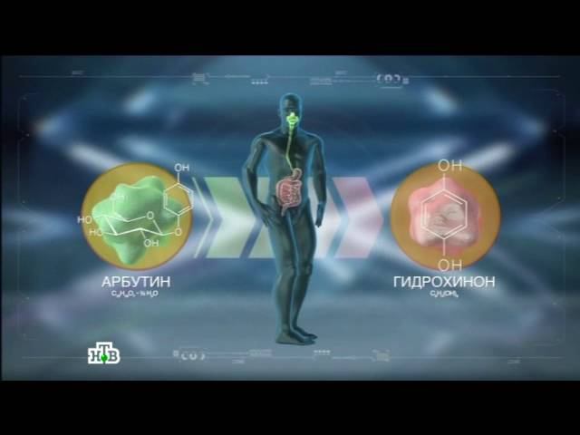 "Чудо техники": Лечение травами, современные наушники и капсульная гастроскопия