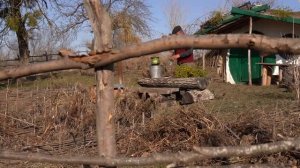 Рецепт кунжутного хлеба Азербайджанская Кухня Деревенская Кухня  Рецепты