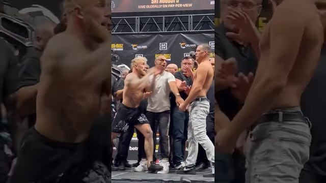 Стердаун Джейк Пол и Нейт Диаз! Будете смотреть бой? / Sturdown Jake Paul and Nate Diaz #boxing #bm